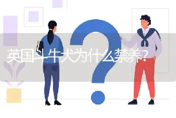 英国斗牛犬为什么禁养？