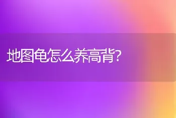 狐狸的狸念几声?谁知道准确的答案？