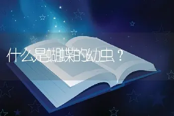 什么是蝴蝶的幼虫？