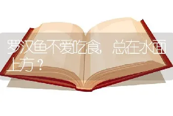 罗汉鱼不爱吃食,总在水面上方？