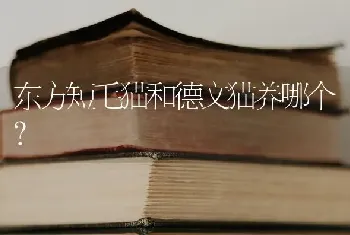 东方短毛猫和德文猫养哪个？