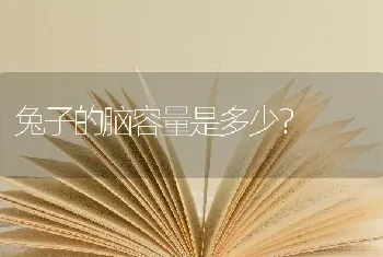 兔子的脑容量是多少？