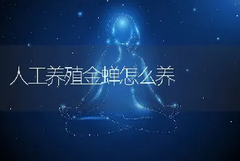 人工养殖金蝉怎么养