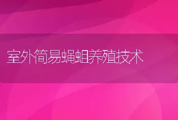 室外简易蝇蛆养殖技术