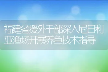 福建省援外干部深入尼日利亚渔场开展养鱼技术指导