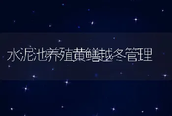 水泥池养殖黄鳝越冬管理