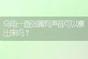 乌龟一直张嘴有声音可以拿出来吗？