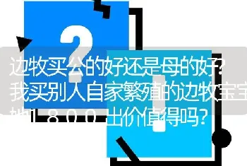 边牧买公的好还是母的好?我买别人自家繁殖的边牧宝宝她1800出价值得吗？