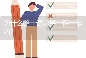 为什么哈士奇总是一惊一乍的？