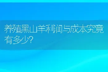 养殖黑山羊利润与成本究竟有多少？