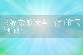 大兴安岭畜牧局开展畜产品质量安全抽检