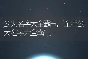 公犬名字大全霸气，金毛公犬名字大全霸气