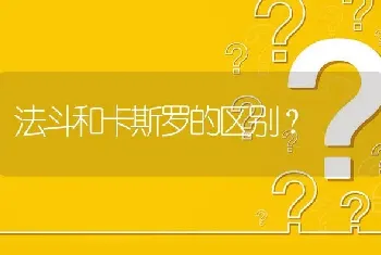 法斗和卡斯罗的区别？