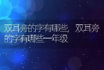 双耳旁的字有哪些，双耳旁的字有哪些一年级