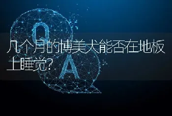 请问谁知道成都哪家卖喜乐蒂犬的犬舍狗比较好信誉好，而且便宜？