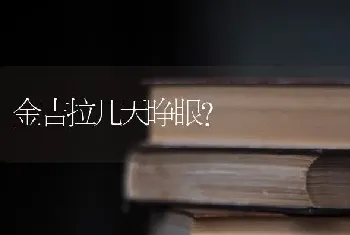 金吉拉几天睁眼？