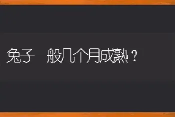 狗狗感冒一直不好怎么办？