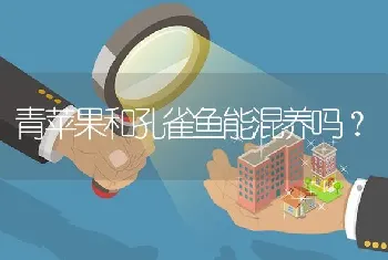 青苹果和孔雀鱼能混养吗？