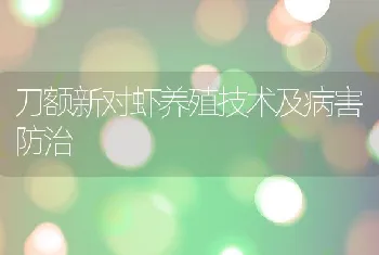 刀额新对虾养殖技术及病害防治