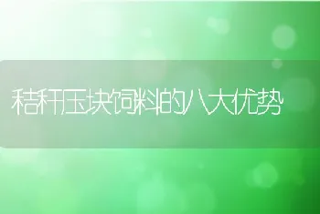 秸秆压块饲料的八大优势