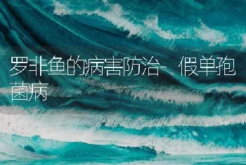 罗非鱼的病害防治-假单孢菌病