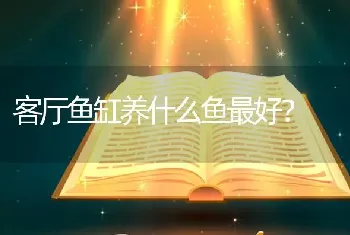 客厅鱼缸养什么鱼最好？