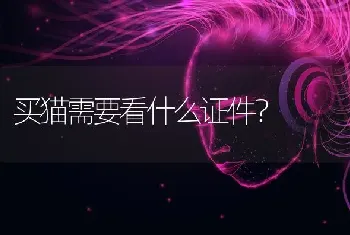 买猫需要看什么证件？