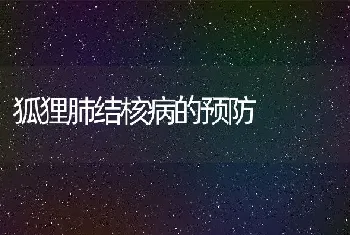 狐狸肺结核病的预防