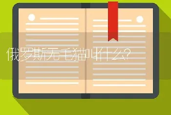 俄罗斯无毛猫叫什么？