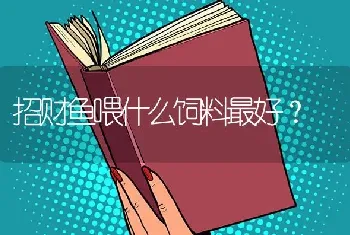 招财鱼喂什么饲料最好？