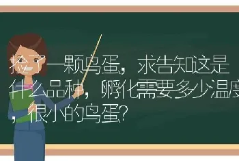 捡了一颗鸟蛋，求告知这是什么品种，孵化需要多少温度，很小的鸟蛋？