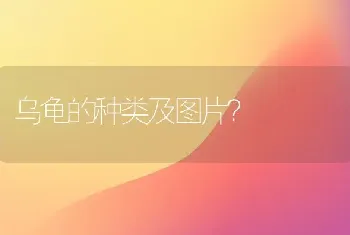 中国公认最贵最漂亮的猫什么猫异瞳？