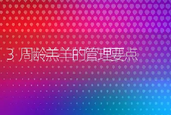 3周龄羔羊的管理要点