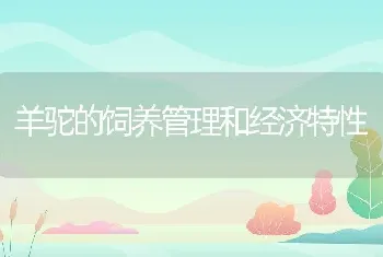 羊驼的饲养管理和经济特性