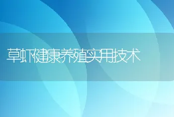 草虾健康养殖实用技术