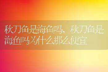 秋刀鱼是海鱼吗，秋刀鱼是海鱼吗为什么那么便宜