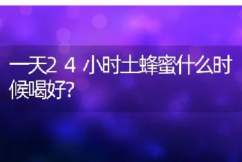 一天24小时土蜂蜜什么时候喝好？