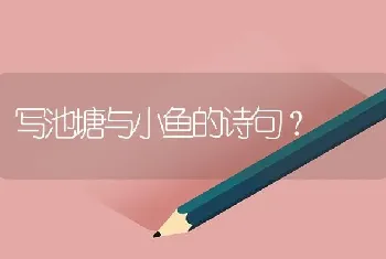 写池塘与小鱼的诗句？