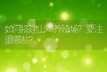 如何搭建山鸡养殖场？要注重哪些？