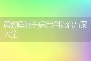 黄颡鱼暴头病完全防治方案大全