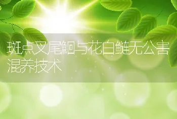 斑点叉尾鮰与花白鲢无公害混养技术