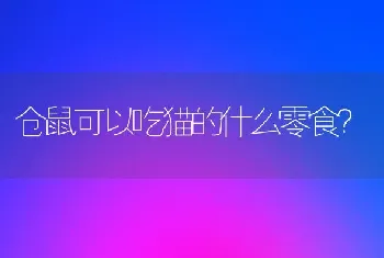 仓鼠可以吃猫的什么零食？