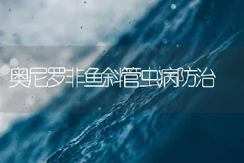 奥尼罗非鱼斜管虫病防治