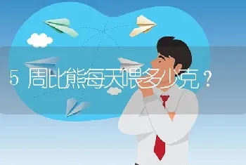 5周比熊每天喂多少克？