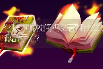 化蝶方酣枕闻鸡又著鞭什么修辞手法？