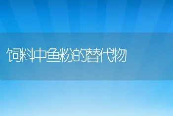 饲料中鱼粉的替代物