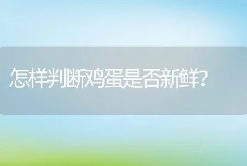 怎样判断鸡蛋是否新鲜？