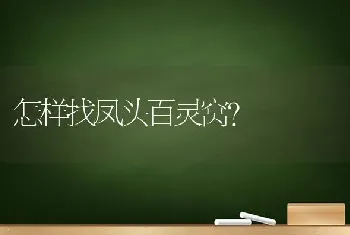 怎样找凤头百灵窝？