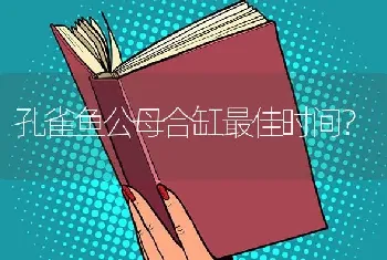 孔雀鱼公母合缸最佳时间？