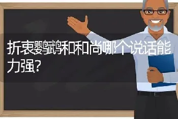 折衷鹦鹉和和尚哪个说话能力强？